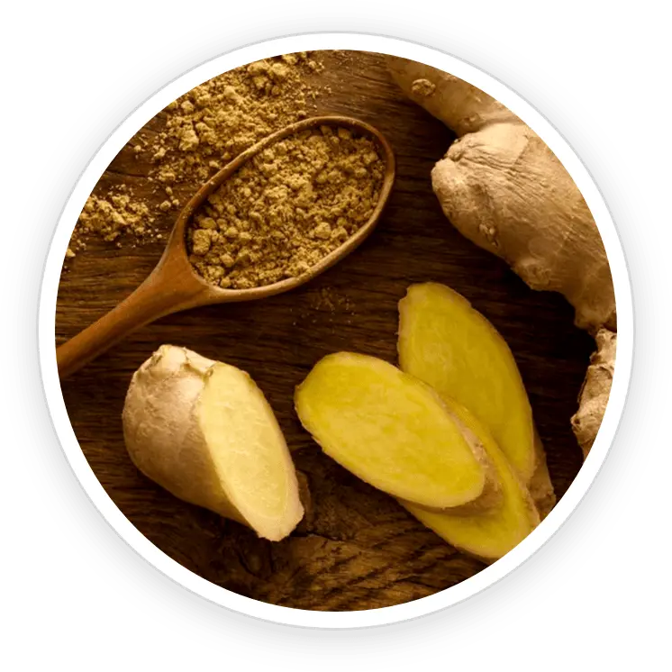 PrimeBiome ingredient-7